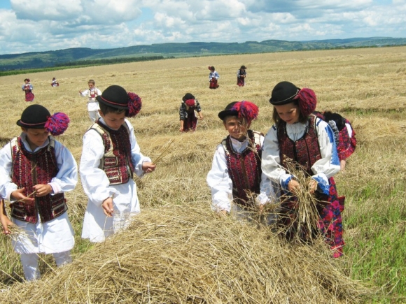 (4) Festivalul_In_Transylvania_i_vu3kI5FmfD.jpg