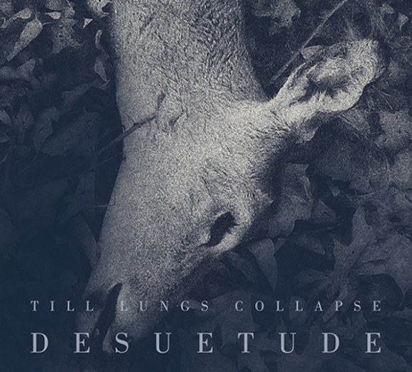 Debutul trupei Till Lungs Collapse cu 'Desuetude'