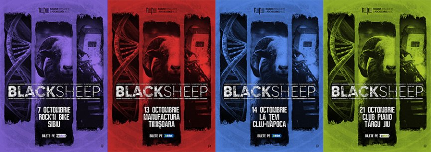 BlackSheep incep maine un mini turneu - 4 concerte in tara