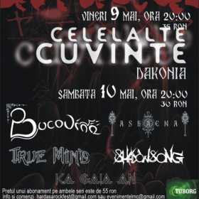 Aniversare 1 an Live Metal Club