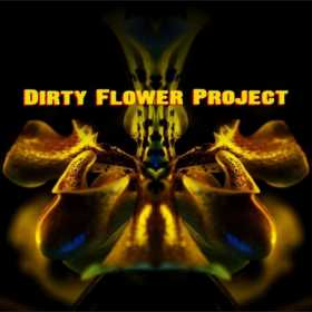 Dirty Shirt si Magnolia sau Dirty Flower Project