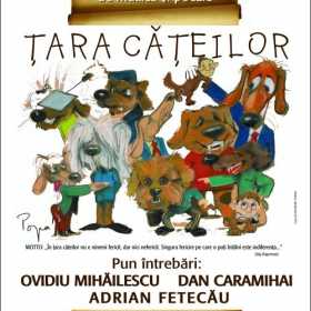 Spectacol Adrian Fetecau, Ovidiu Mihailescu, Dan Caramihai la Teatrul Nottara