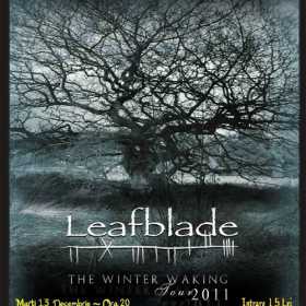 Concert Leafblade in Rockstadt Brasov