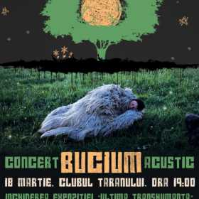 Concert acustic Bucium in Clubul Taranului