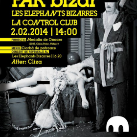 Par bizar - Les Elephants Bizarres in Control Club