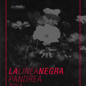 Concert La Linea Negra, Pandrea si TBA in Question Mark