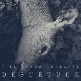 Debutul trupei Till Lungs Collapse cu 'Desuetude'