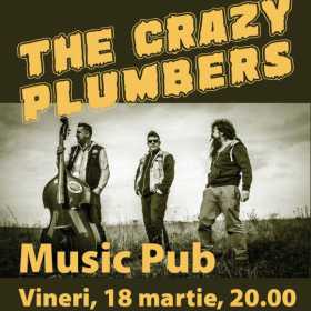 Trupa The Crazy Plumbers in concert la Bistrita