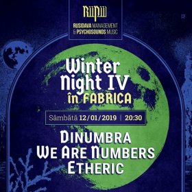 Cea de-a patra editie de Winter Night in Fabrica