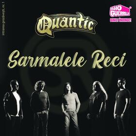 Concert Sarmalele Reci in club Quantic