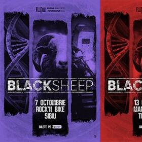 BlackSheep incep maine un mini turneu - 4 concerte in tara