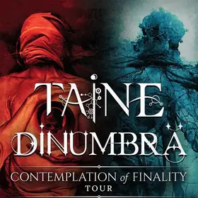 TAINE si DINUMBRA va invita la turneul 'Contemplation of Finality'