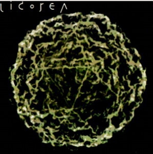 Licorea - Licorea