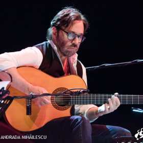 Al Di Meola, Sala Palatului