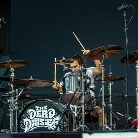 40. The Dead Daisies