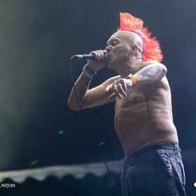 The Exploited